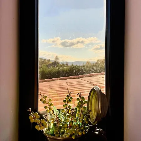 Casa Angelica * Майда